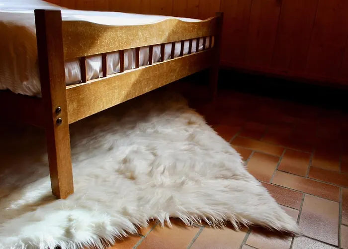 De Planchouet 3* Nendaz